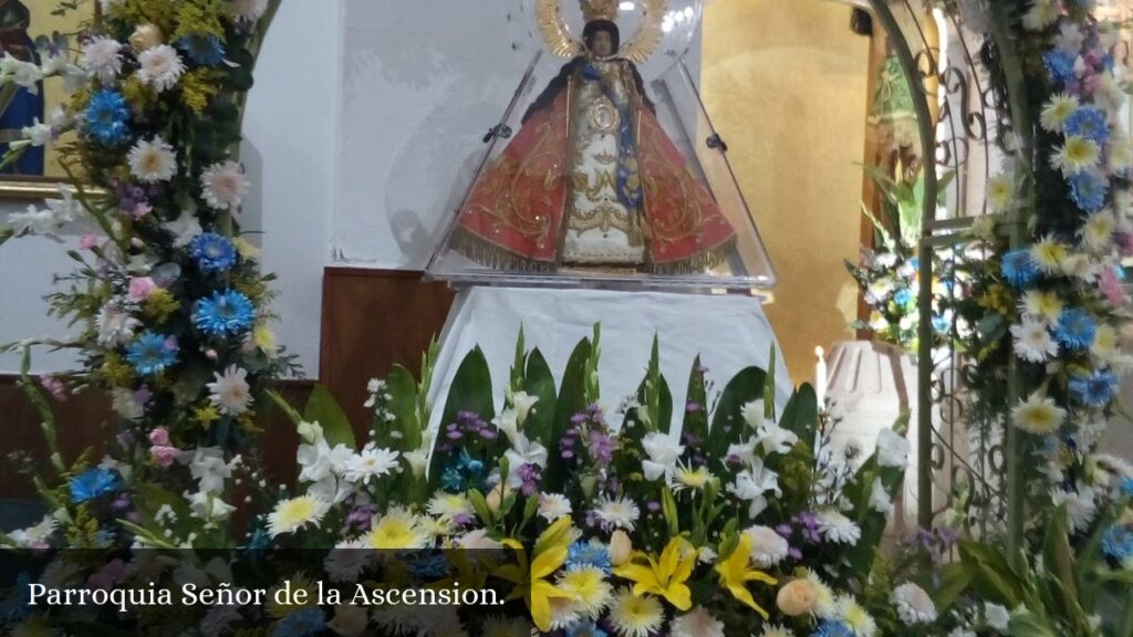 Parroquia Señor de la Ascension - Zapopan (Jalisco)