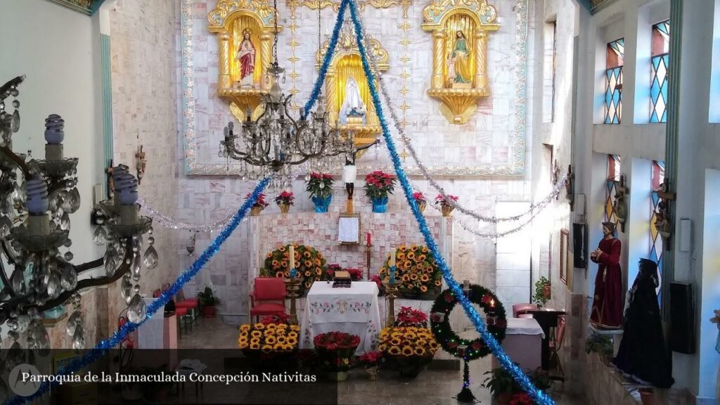 Parroquia de la Inmaculada Concepción Nativitas - CDMX (Ciudad de México)