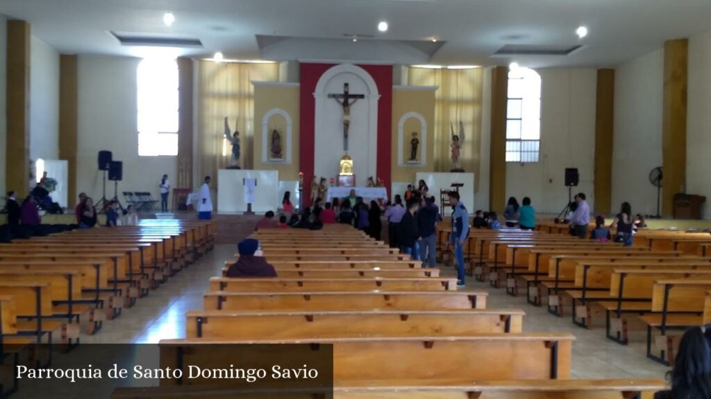 Parroquia de Santo Domingo Savio - Aguascalientes (Aguascalientes)
