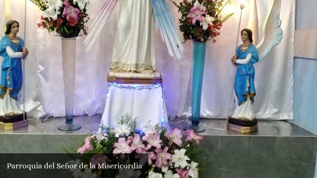 Parroquia del Señor de la Misericordia - CDMX (Ciudad de México)