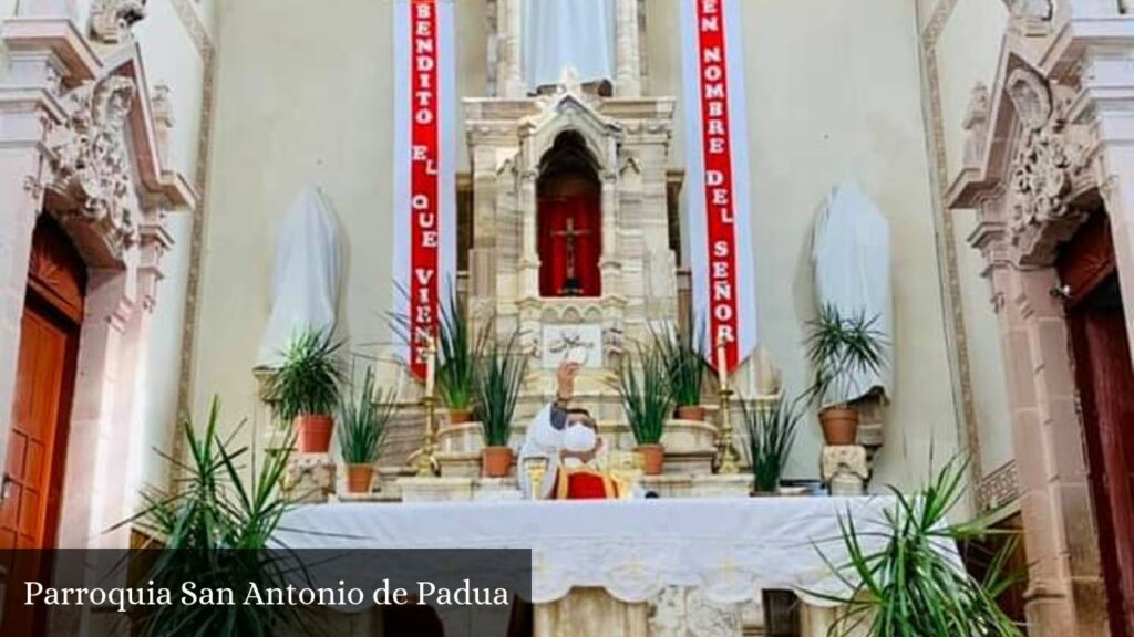 Parroquia San Antonio de Padua - Morelos (Zacatecas)